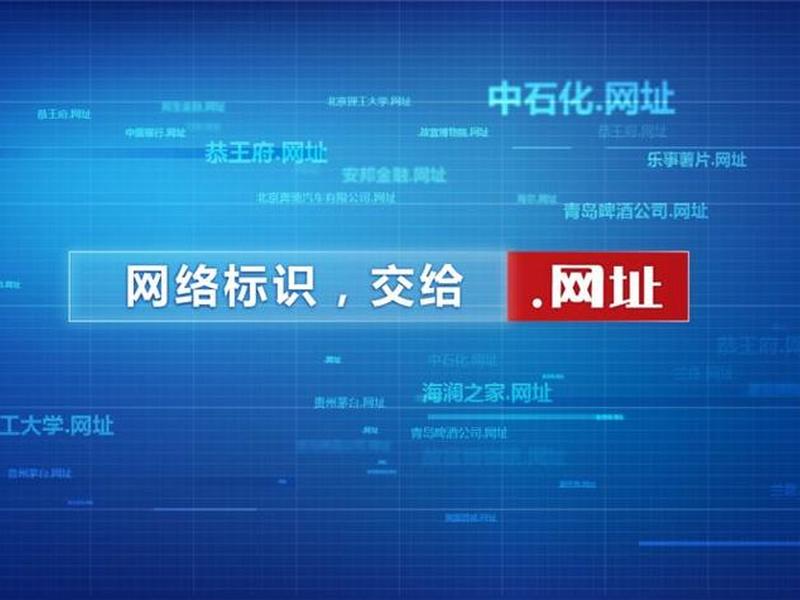 中文域名怎么制作(中文域名怎么制作的) 中文域名怎么制作(中文域名怎么制作的)