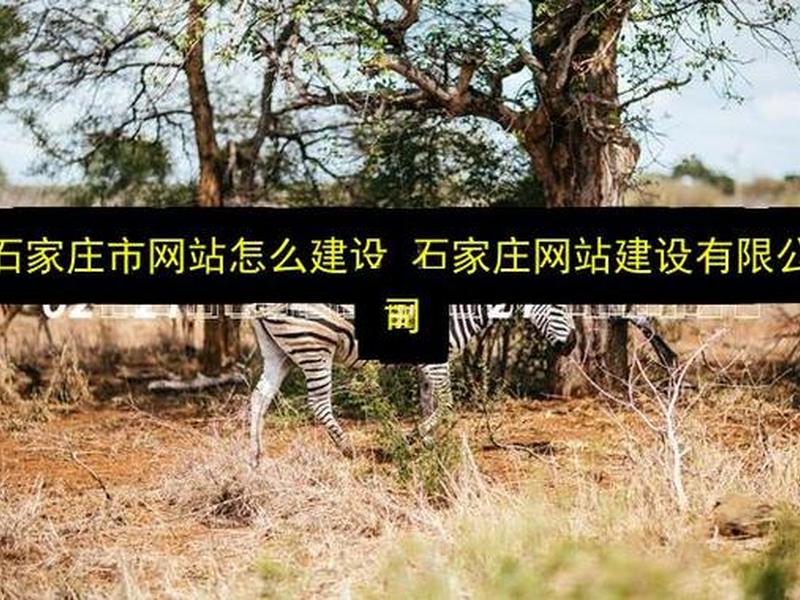 石家庄网站建站推广 石家庄网站建设推广 石家庄网站建站推广 石家庄网站建设推广