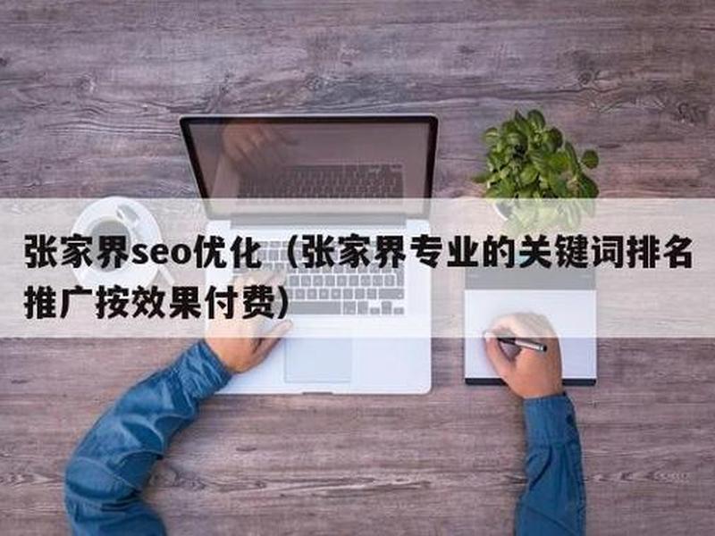 张家界外贸seo；张家界seo服务