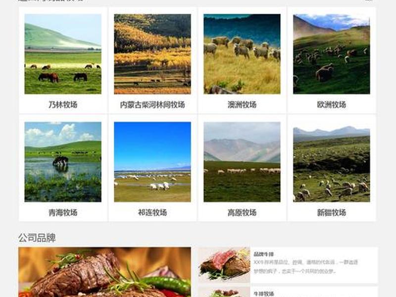 悟空网站源码、悟空网站源码下载 悟空网站源码、悟空网站源码下载