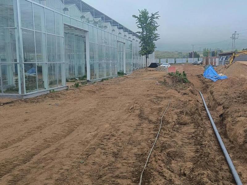 吐鲁番温室大棚建造安装,吐鲁番温室大棚建造安装招标 吐鲁番温室大棚建造安装,吐鲁番温室大棚建造安装招标
