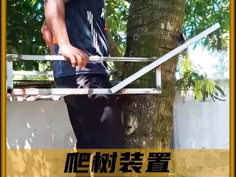 攀树工具(攀树用的工具图解) 攀树工具(攀树用的工具图解)