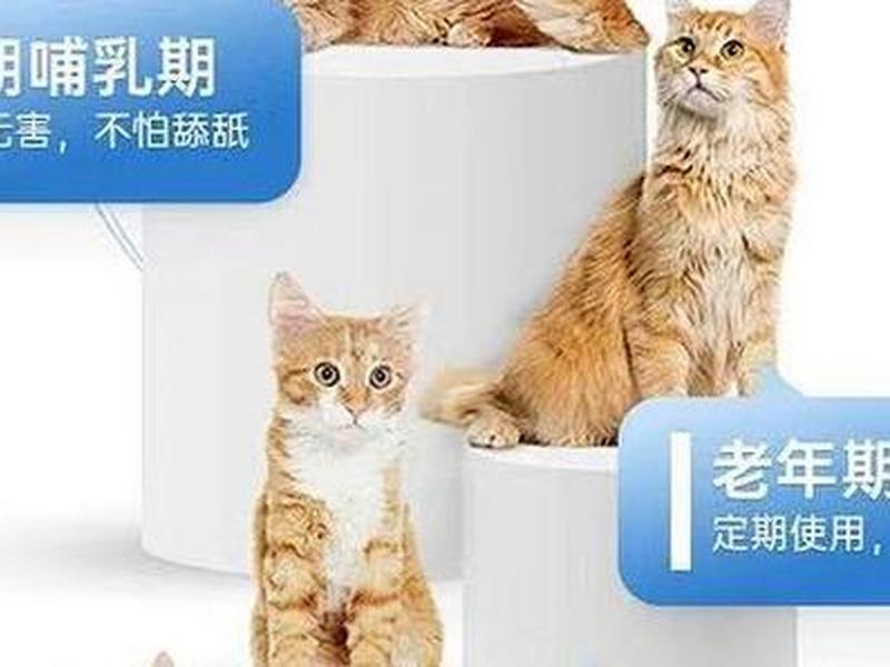 皮皮喵 站点 - 皮皮喵站点来源