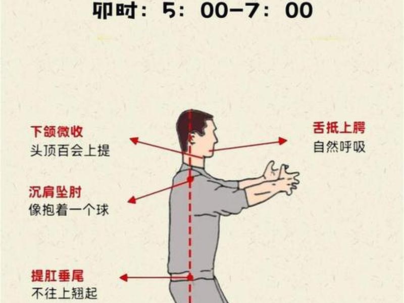 如何练站桩视频 如何练站桩视频大全 如何练站桩视频 如何练站桩视频大全