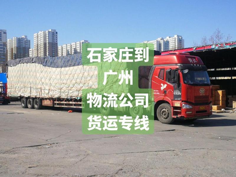石家庄新手建站教程视频 - 石家庄建网站 石家庄新手建站教程视频 - 石家庄建网站