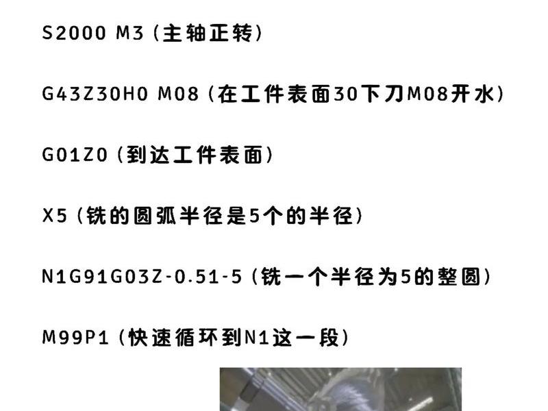 新手编程入门项目实战 新手编程入门项目实战教程 新手编程入门项目实战 新手编程入门项目实战教程