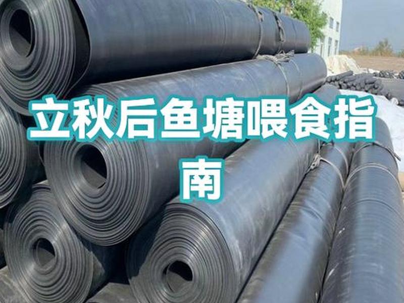 如何搭建鱼塘料台、鱼塘饲料台搭建视频播放 如何搭建鱼塘料台、鱼塘饲料台搭建视频播放