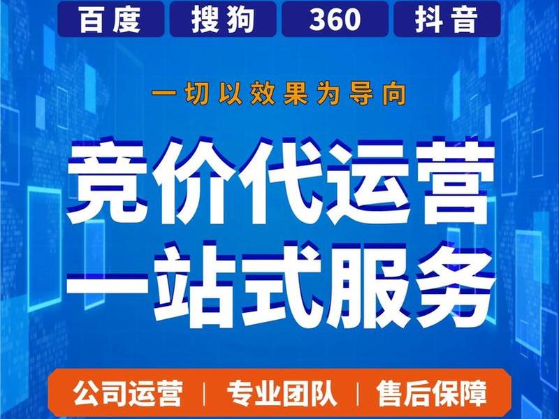 专业带刷网 - 网专业版有什么好处 专业带刷网 - 网专业版有什么好处