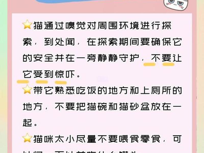 稳当猫商家入驻条件 稳当猫商家入驻条件有哪些 稳当猫商家入驻条件 稳当猫商家入驻条件有哪些