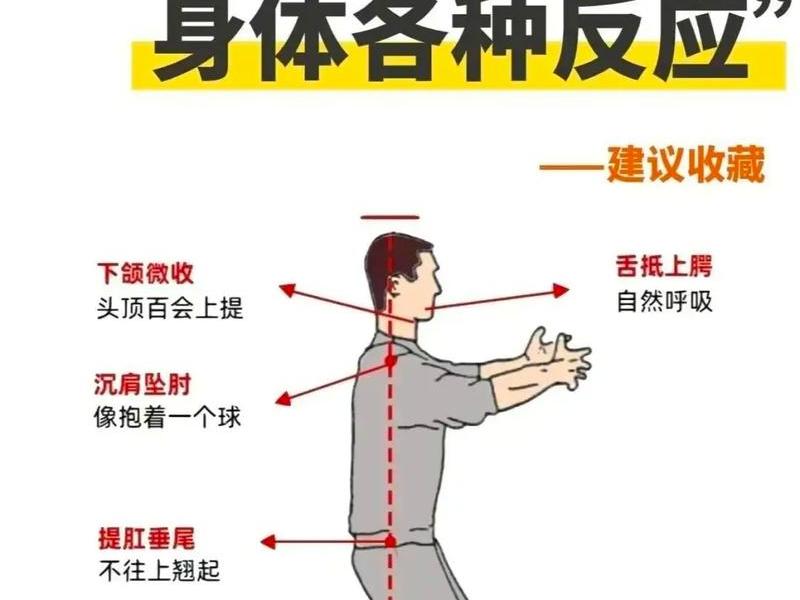 新手站桩视频教程(新手站桩视频教程全集) 新手站桩视频教程(新手站桩视频教程全集)