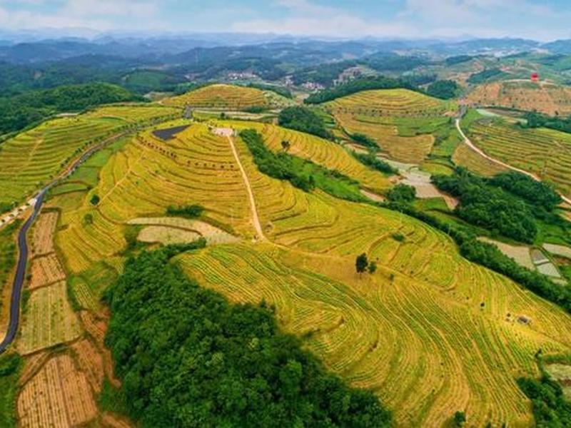 黔南外贸建站 黔南内贸学校全称 黔南外贸建站 黔南内贸学校全称