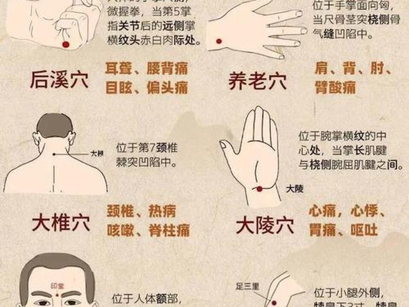一分钟见效的中医穴位汇总;一分钟学中医全身穴位总结速记 一分钟见效的中医穴位汇总;一分钟学中医全身穴位总结速记
