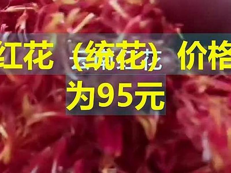 平顶山贸易市场 - 平顶山贸易市场花朵价格 平顶山贸易市场 - 平顶山贸易市场花朵价格