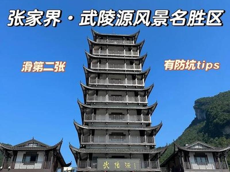 张家界专业建站,张家界专业的建站按效果付费 张家界专业建站,张家界专业的建站按效果付费