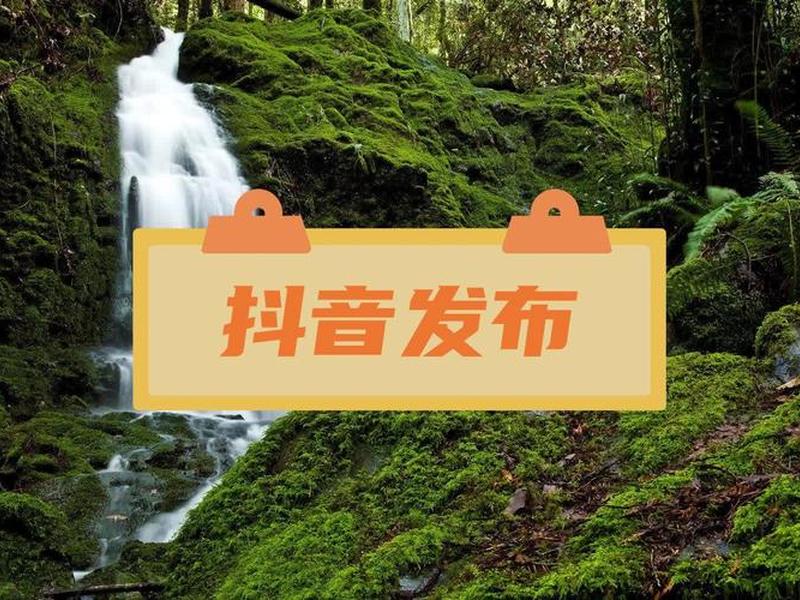 凯迪软件m∨制作,凯迪软件是真的吗 凯迪软件m∨制作,凯迪软件是真的吗