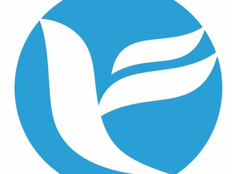 凌风网络科技有限公司(凌风网络科技有限公司怎么样) 凌风网络科技有限公司(凌风网络科技有限公司怎么样)