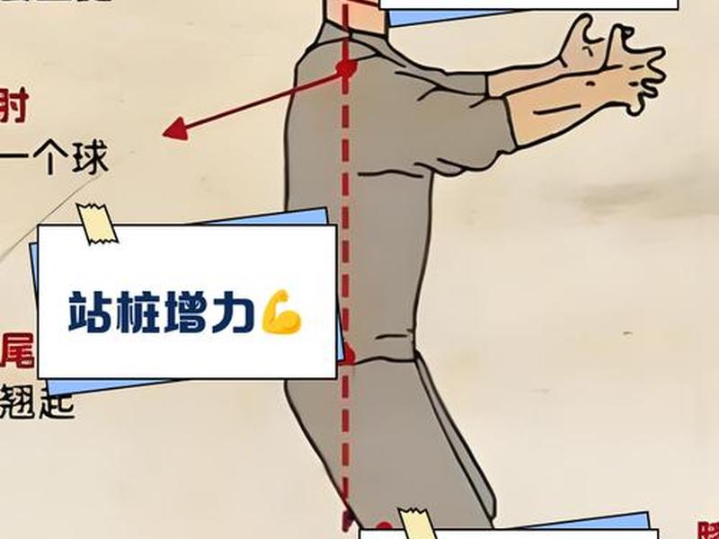 站桩骨架堆叠要领图解 站桩骨架堆叠要领图解大全 站桩骨架堆叠要领图解 站桩骨架堆叠要领图解大全