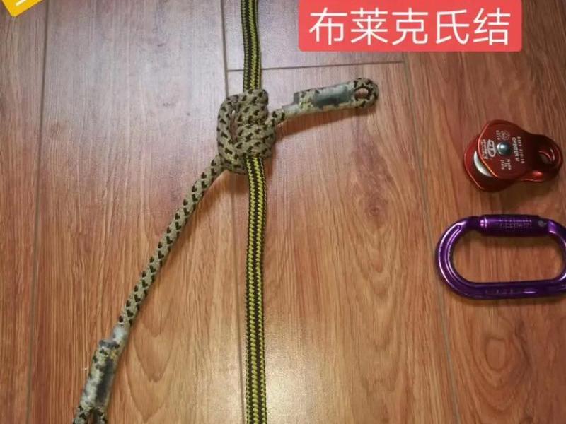 攀树的步骤(攀树的用途有哪些?) 攀树的步骤(攀树的用途有哪些?)