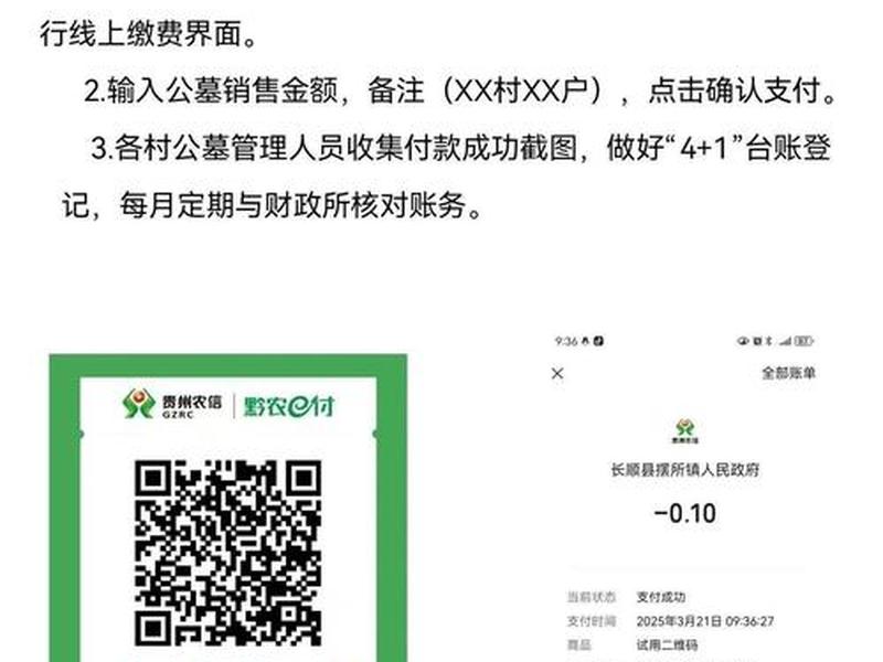 自建站收款通道 - 自建站收款通道payoneer