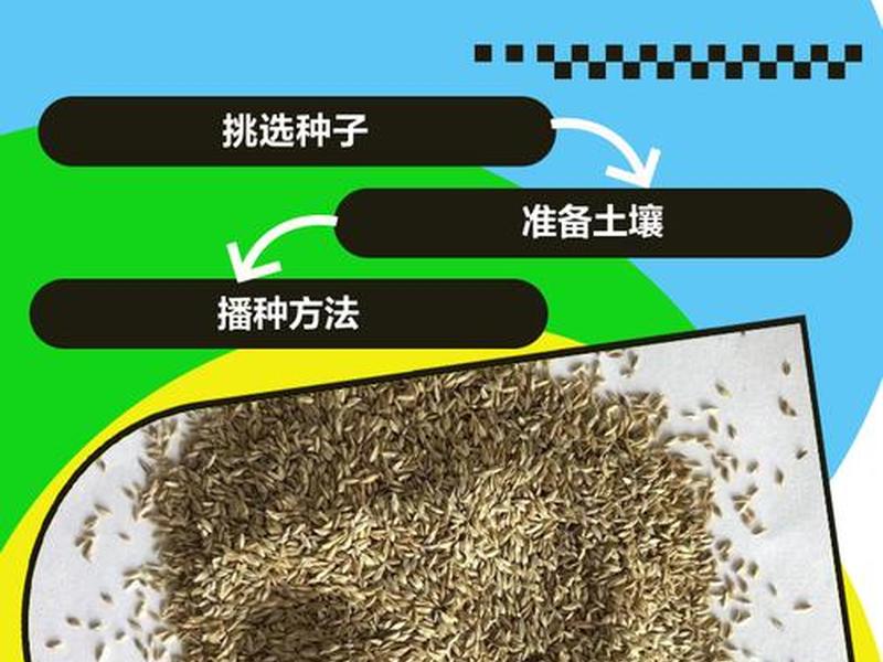 新手菜鸟学育苗;新手菜鸟学育苗教程 新手菜鸟学育苗;新手菜鸟学育苗教程