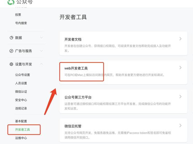 开发人员设置怎么打开（开发人员设置怎么打开文件）