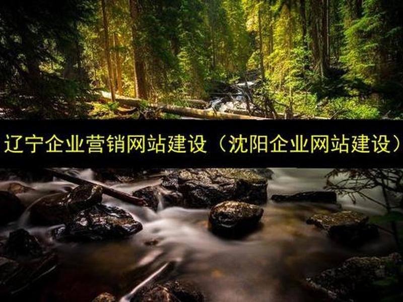 沈阳搭建网站 - 沈阳正规网站搭建公司