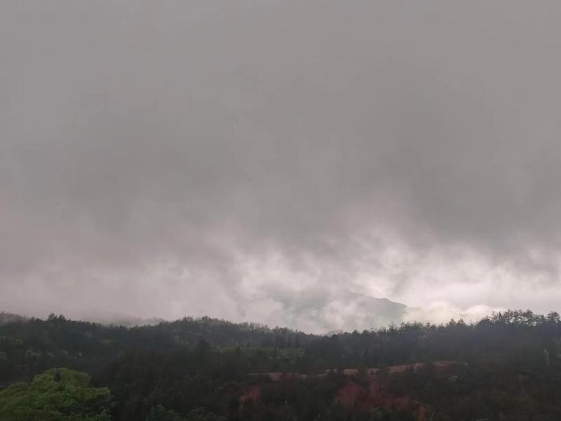 云雨 云雨