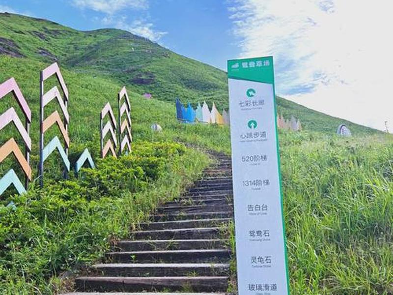 宁德柘荣 宁德柘荣鸳鸯草场 宁德柘荣 宁德柘荣鸳鸯草场