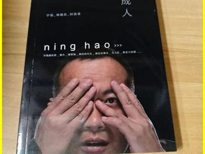 宁浩最新消息 - 宁浩最新消息新闻 宁浩最新消息 - 宁浩最新消息新闻