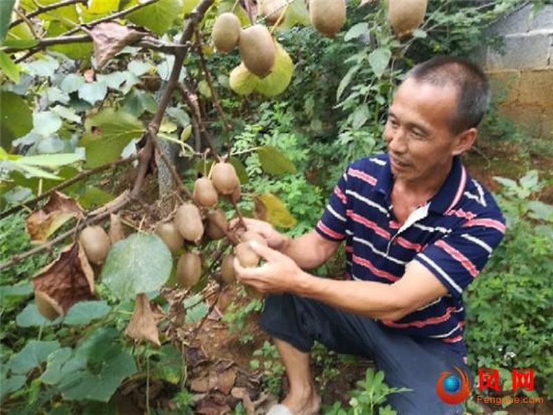 湘西外贸项目交流;湘西外贸项目交流群微信 湘西外贸项目交流;湘西外贸项目交流群微信