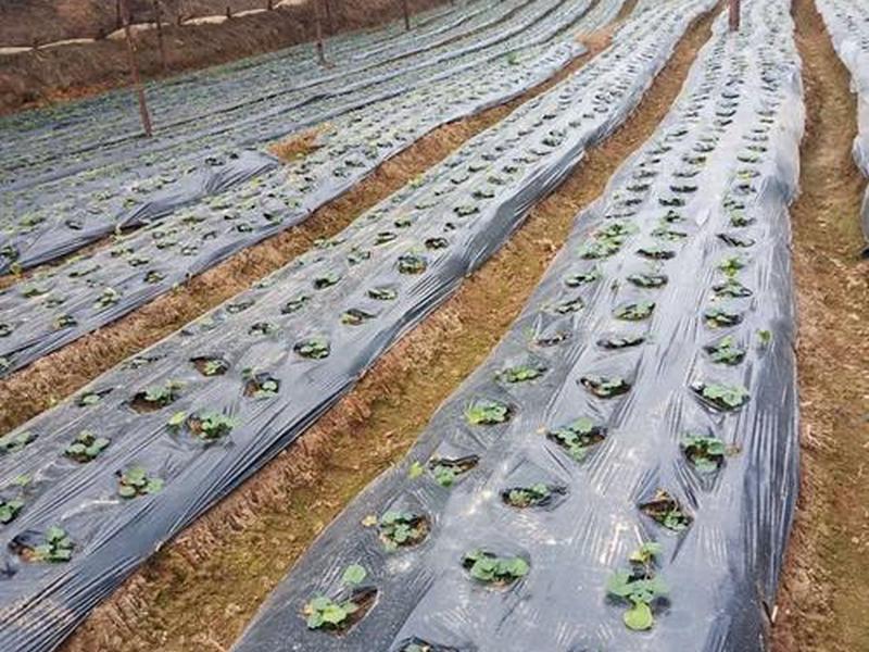 在云南做外贸生意怎么样,在云南做外贸生意怎么样啊 在云南做外贸生意怎么样,在云南做外贸生意怎么样啊