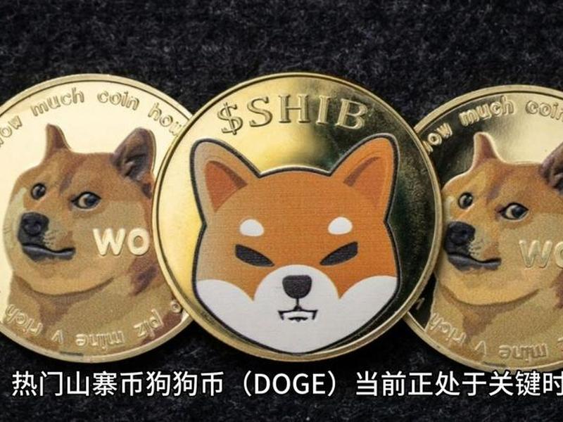 马克斯doge，马克斯韦伯