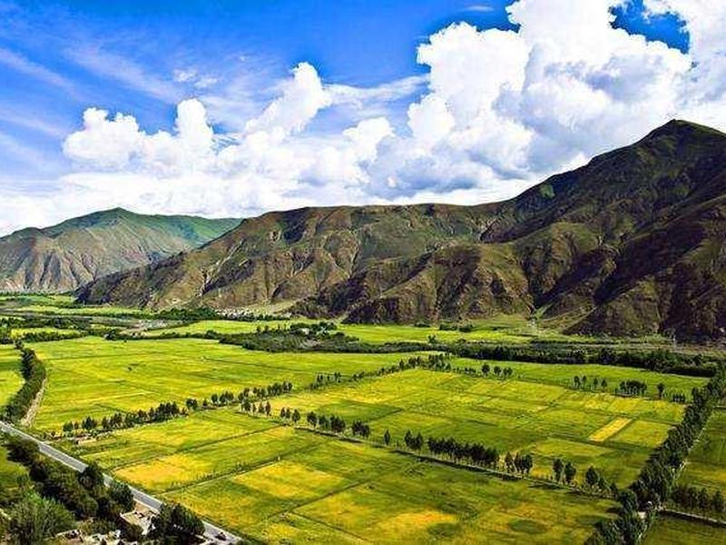 山南搭建的网站,山南网站建设公司 山南搭建的网站,山南网站建设公司