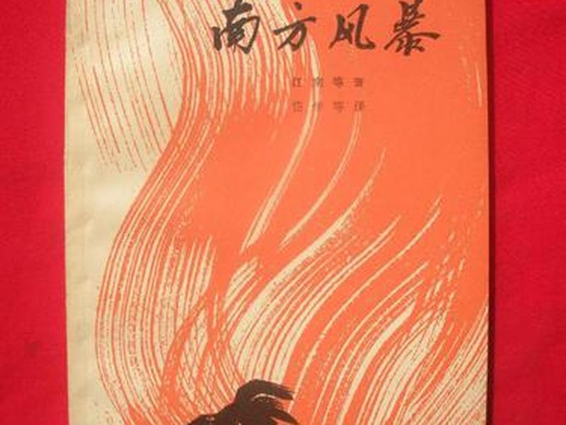 南方风暴电影解说,南方电影高清完整版 南方风暴电影解说,南方电影高清完整版