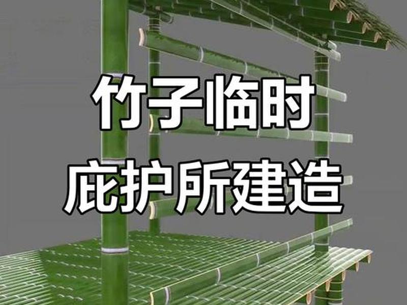 竹子怎么搭建 竹子怎么搭建狗屋 竹子怎么搭建 竹子怎么搭建狗屋