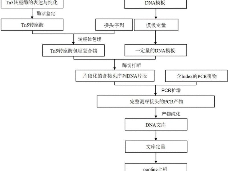 文库构建流程、文库构建流程图 文库构建流程、文库构建流程图