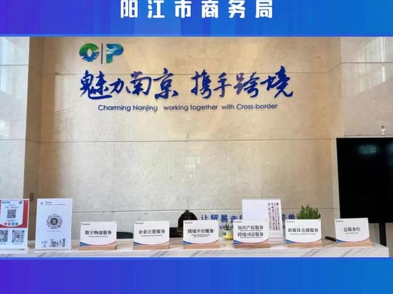 南京独立跨境电商、南京最大跨境电商叫什么 南京独立跨境电商、南京最大跨境电商叫什么