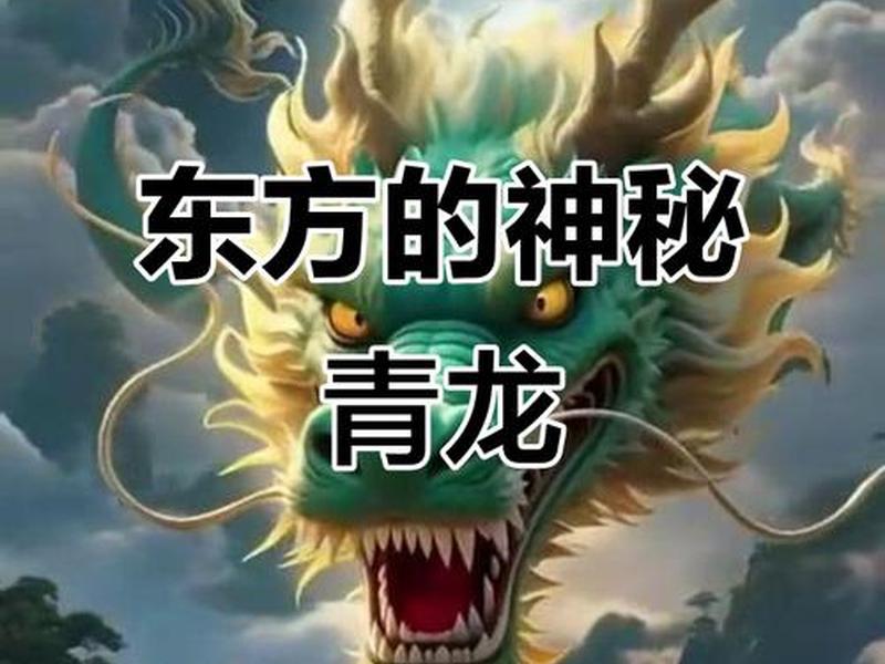 青龙官方网站;青龙官方网站怎么看 青龙官方网站;青龙官方网站怎么看