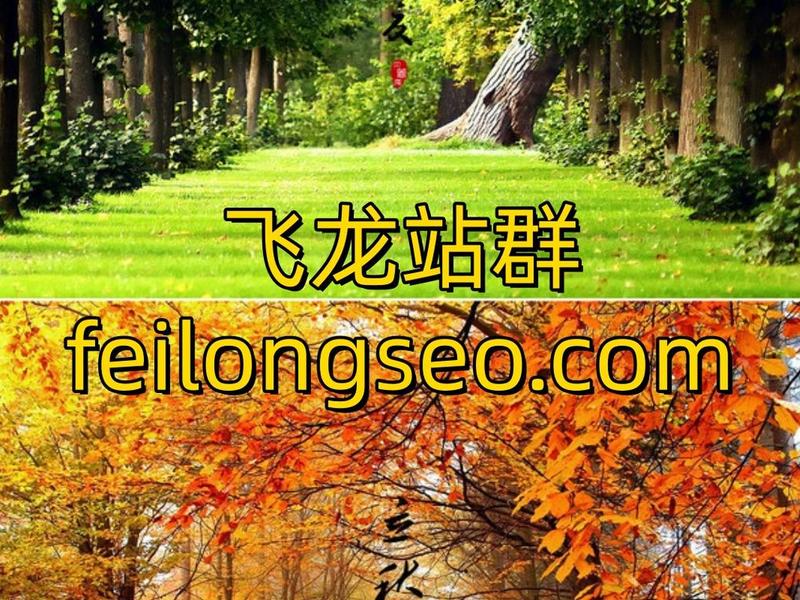 小旋风站群官网(小旋风x9站群系统) 小旋风站群官网(小旋风x9站群系统)