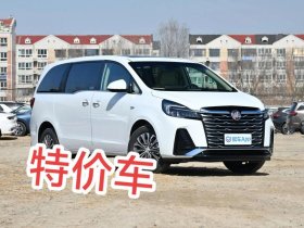 商务卫士多少钱、商务卫士多少钱一个月