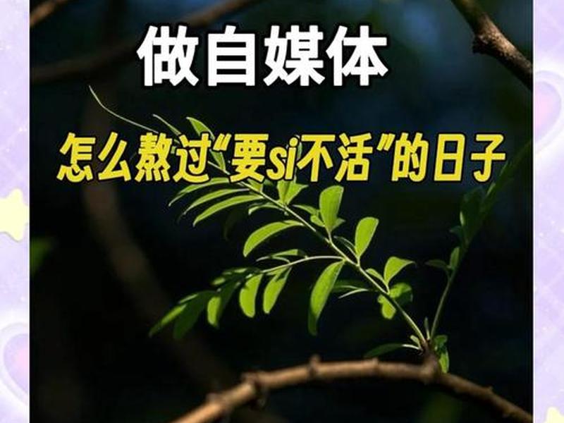 小哥自媒体内容创作 - 小哥自媒体内容创作怎么写 小哥自媒体内容创作 - 小哥自媒体内容创作怎么写