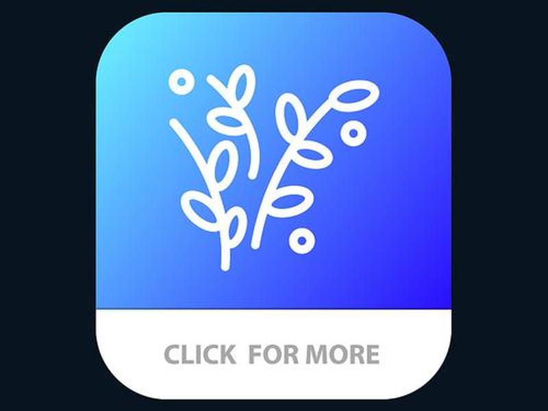 叶子app是什么软件 叶子app是干什么的 叶子app是什么软件 叶子app是干什么的