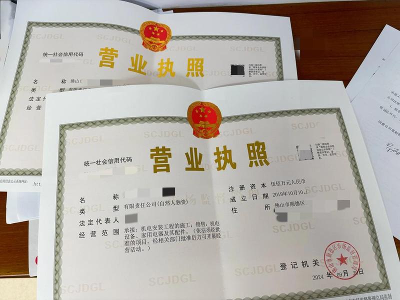 无域名公司;无地域名公司 无域名公司;无地域名公司