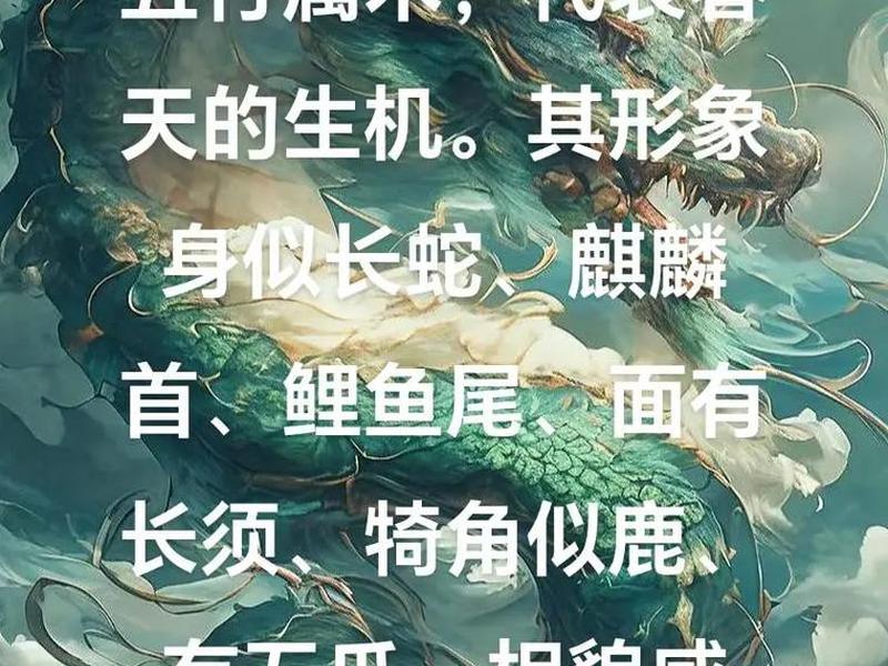 青龙安卓版 - 青龙破解版 青龙安卓版 - 青龙破解版