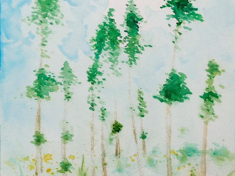 适合新手的100幅水彩画 适合新手的100幅水彩画风景 适合新手的100幅水彩画 适合新手的100幅水彩画风景