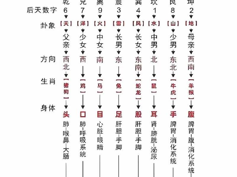 零基础入门易经的必备知识；零基础入门易经的必备知识点