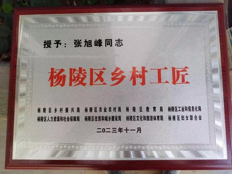 乡镇村建站工作要什么证书(乡镇村建站工作要什么证书才能干) 乡镇村建站工作要什么证书(乡镇村建站工作要什么证书才能干)