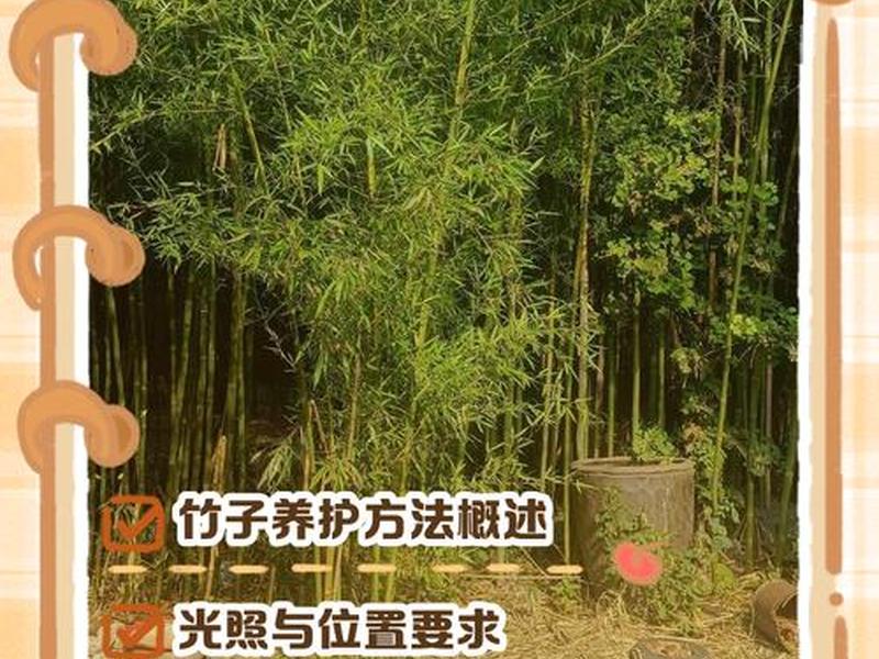 竹子建站常见问题 - 竹子建站怎么样 竹子建站常见问题 - 竹子建站怎么样