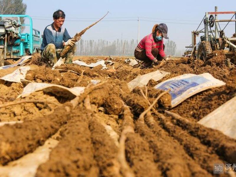 邹平县个人网站建站教程(邹平网站建设) 邹平县个人网站建站教程(邹平网站建设)