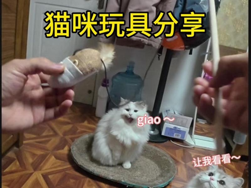 皮皮喵创建站点来源教程 皮皮喵怎么导入来源站点 皮皮喵创建站点来源教程 皮皮喵怎么导入来源站点